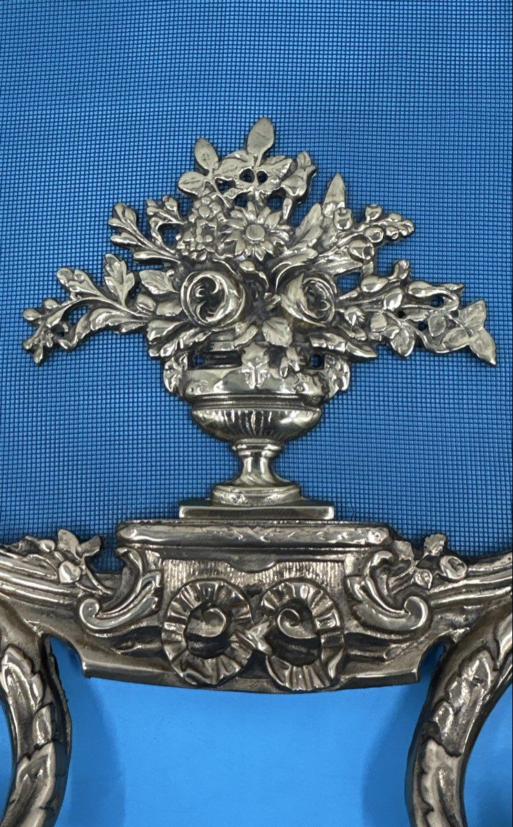 Antique 19th Century Louis XV Decorative Fireplace Screen Rococco Floral Bouquet